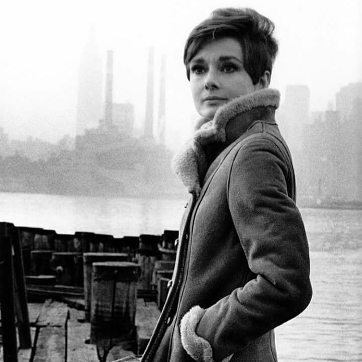 Audrey Hepburn 