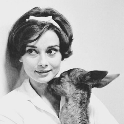 Audrey Hepburn 