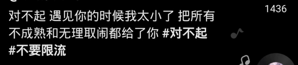 对不起 遇见你的时候我太小了 把所有不成熟和无理取闹都给了你