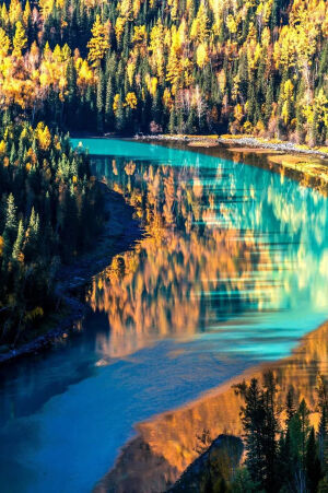 新疆阿勒泰有喀纳斯
喀纳斯的秋天是天堂，冰蓝色的喀纳斯河在五彩的林叶中蜿蜒处处都是一幅天然的油画