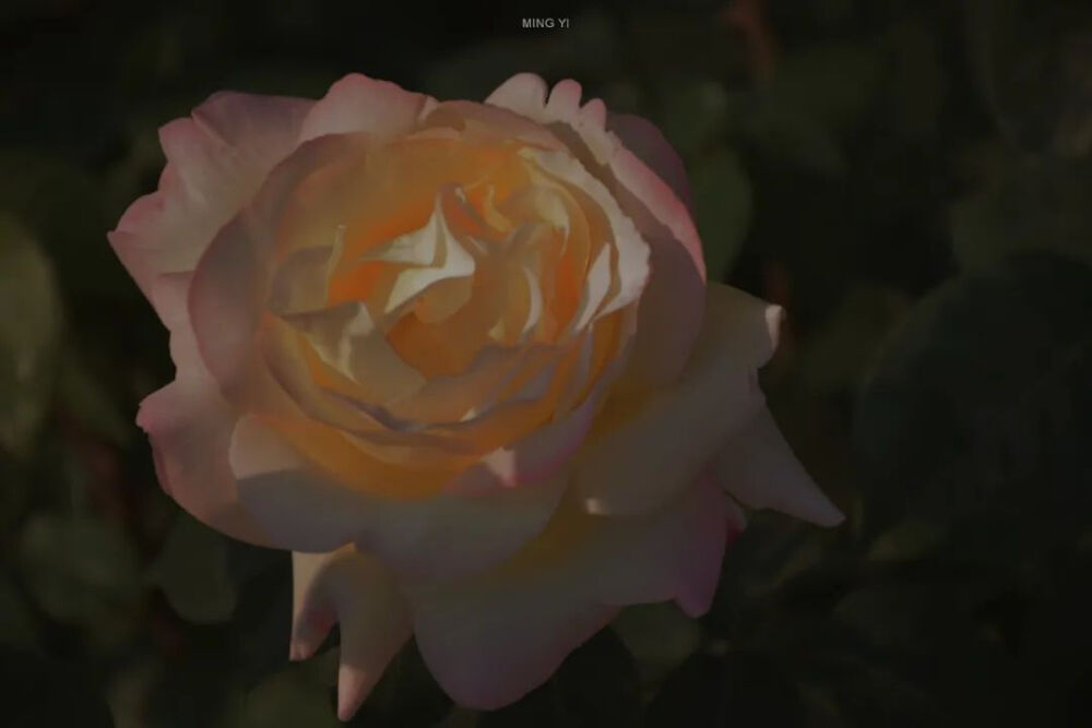 你要做自己，你要开心。