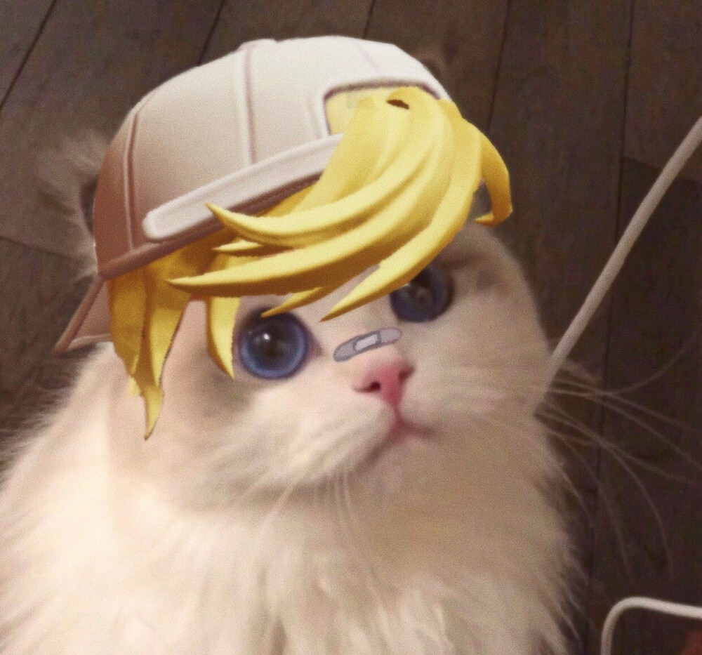 接头