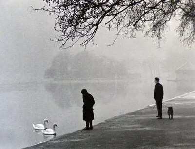 Robert Frank