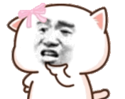 这几个表情包笑死我了
群里拿的