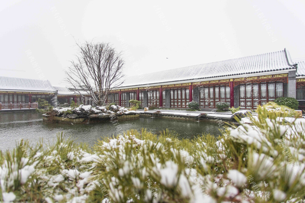 新中式唐语仿古砖雕四合院
清晨，微光斜照，鸟语花香，温柔了岁月；
午后，三五好友，把盏言欢，快意人生就此驻足；
夜幕降临，举家入院，赏明月澄净，天高星淡。
一方院落，就是一个小世界。