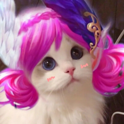 王者头像
抖音作者：一罐儿甜