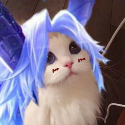 王者头像
抖音作者：一罐儿甜