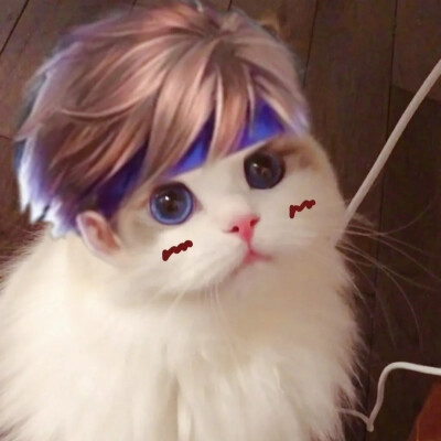 王者头像
抖音作者：一罐儿甜