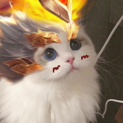 王者头像
抖音作者：一罐儿甜