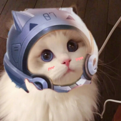 王者头像
抖音作者：一罐儿甜