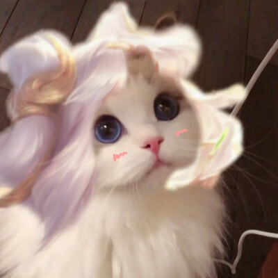 王者头像
抖音作者：一罐儿甜