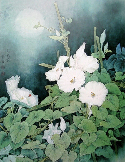 夕颜 夜颜 葫芦花 月光花 moon flower ユウガオ Ipomoea alba 形似满月，大而美丽，在夜间开放（不是朝颜不是牵牛花）