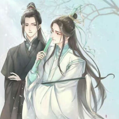 天官赐福 风师黑水
贺玄 师青玄 