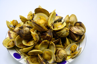 炒蛤蜊 蛤蜊 炒 炒菜 美食 食物 烹调 烹饪 容器 盘子 瓷盘 异形盘 白色瓷盘 圆盘子 静物 食品 中国 新鲜 特写 海鲜 贝壳 饮食 美味 形状 白色背景 摄影 亚洲 健康食物 海产 甲壳动物 有机食品 食物状态 营养 饮食文…