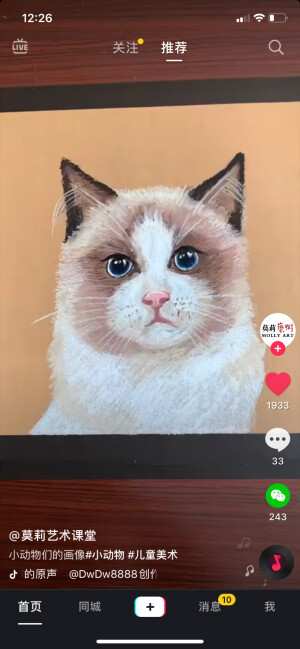 动物