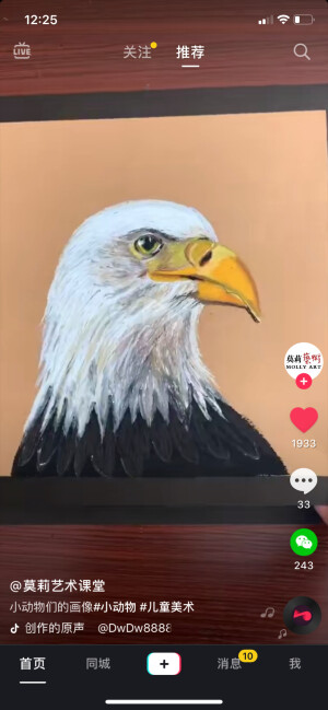 动物