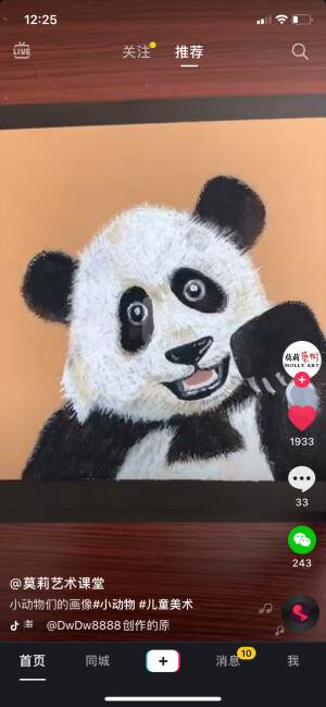 动物