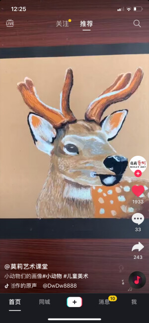 动物