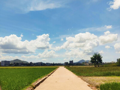田野，乡间，马路，小镇