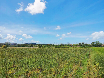田野，乡间，马路，小镇
