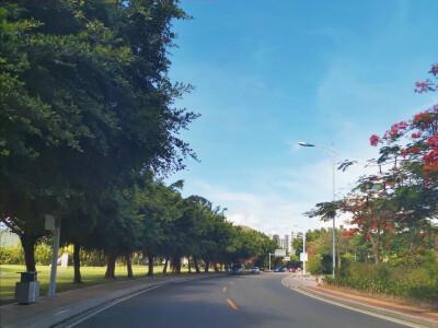 田野，乡间，马路，小镇