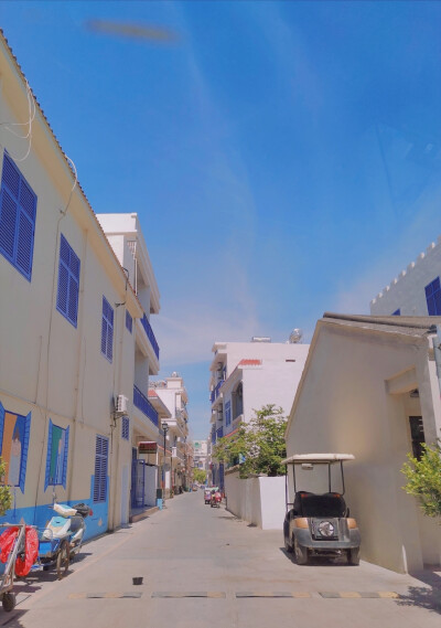 田野，乡间，马路，小镇