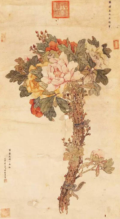 慈禧 花鸟画牡丹 国画山水 花鸟 人物 动物 工笔 写意 详细介绍请关注新浪微博@国画热 你我暮年，闲坐庭院，云卷云舒听雨声，星密星稀赏月影，花开花落忆江南，你话往时，我画往事。新浪微博同名@国画热 求关注o ^_-