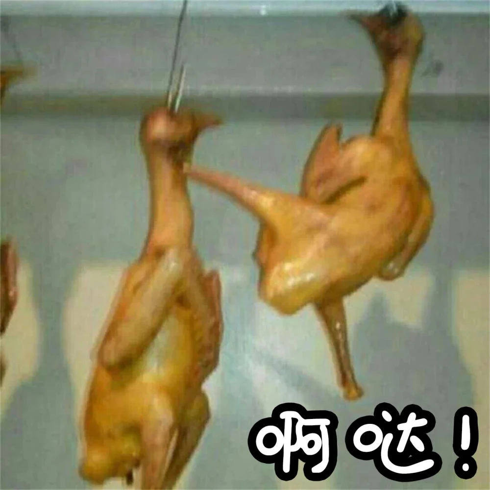 烤鸡表情包 阿达!