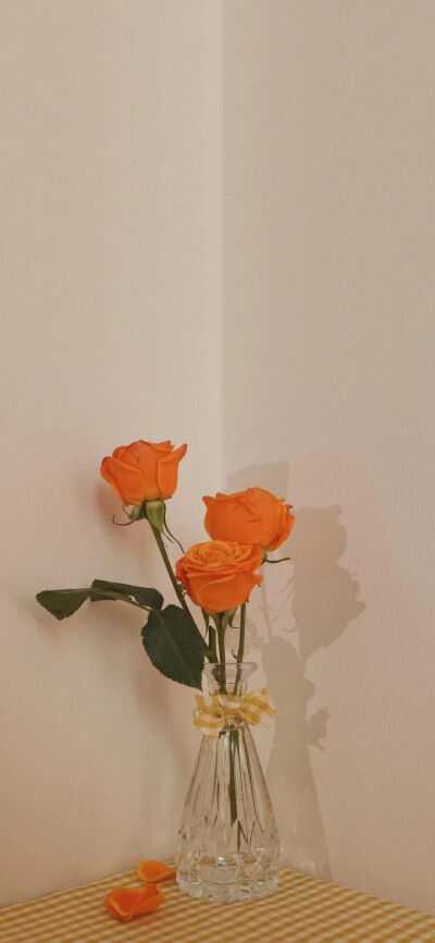 玫瑰诗篇，关于玫瑰花。