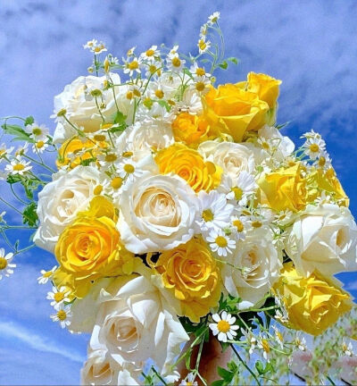 玫瑰诗篇，关于玫瑰花。