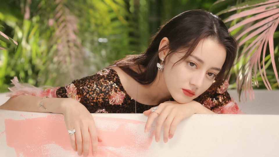 Lady 宝石宠物