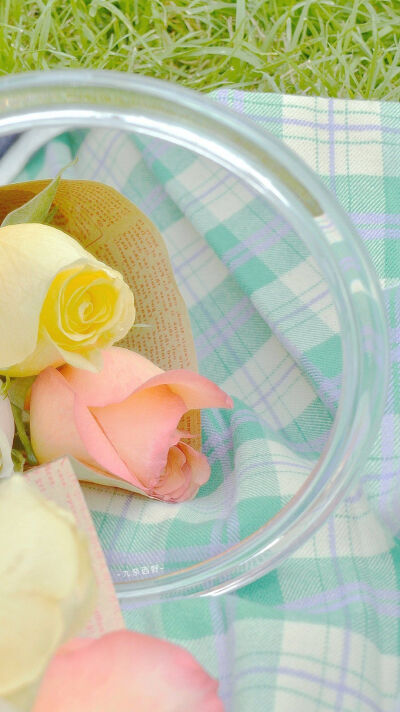 玫瑰花，关于爱情❤️