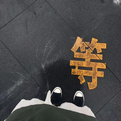 背景图
非原创 图源各处 侵删
-东京日和x