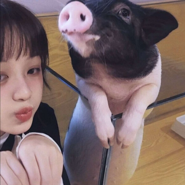 慕鲸笙.优质 真人头像/可爱/恩爱/精致/一对两张