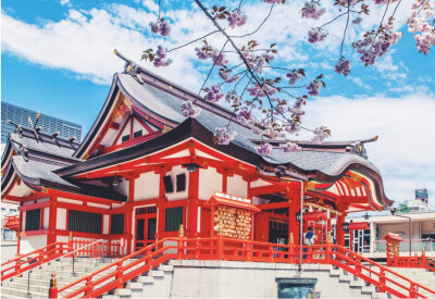 日本樱花神社