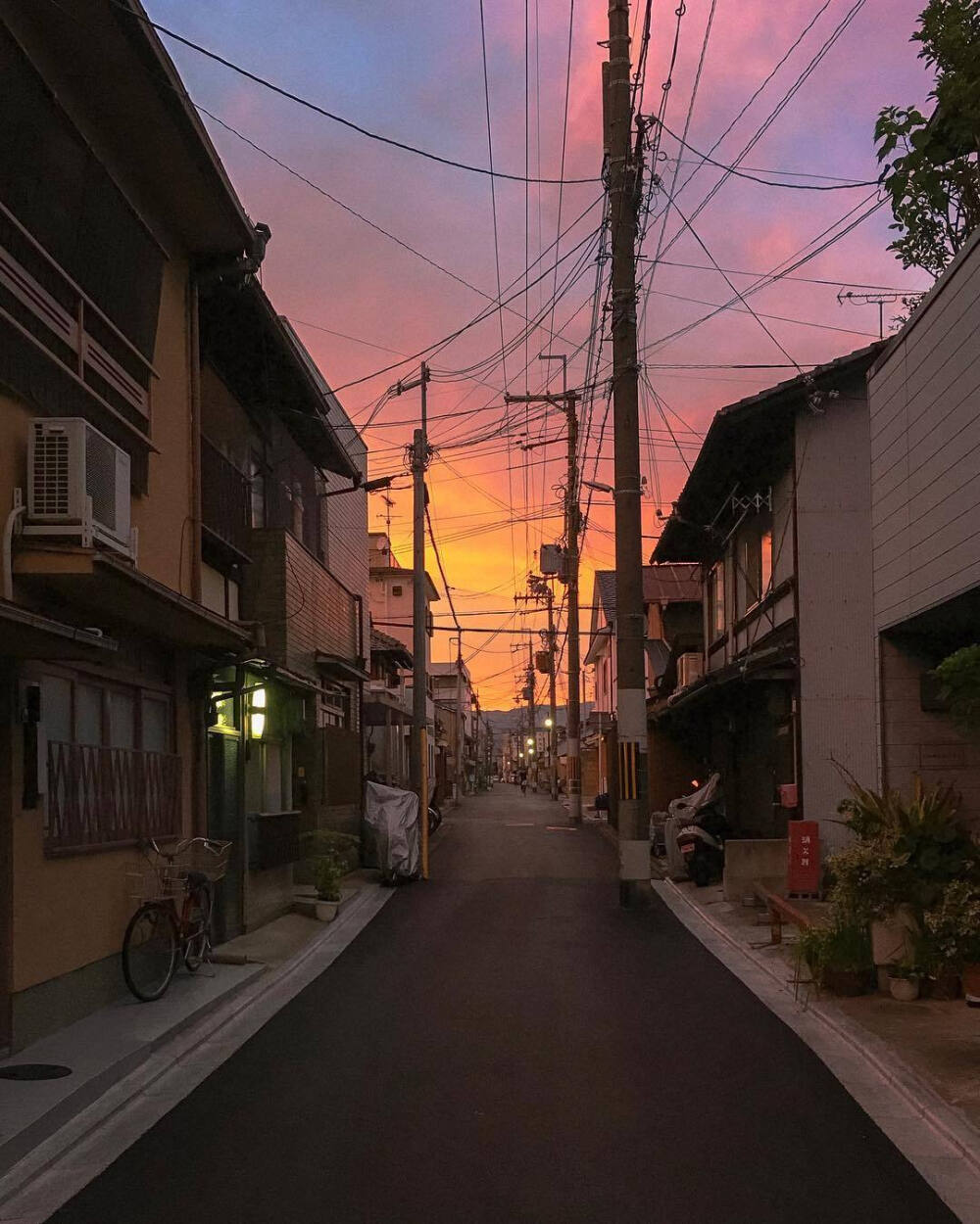 茶不喜欢孤独，我的茶也想要你。
风景☆蓝色☆☆粉色天空☆夕阳☆治愈☆外景☆干净☆拿图点赞关注☆经常更新☆源于各处侵权删除☆大海