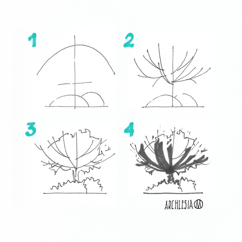 手绘植物的画法和优化 图源 ins archlesia ​​​