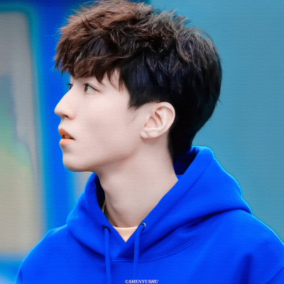 ◦王俊凯
二传注明堆糖沈虞书