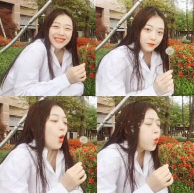 Sulli