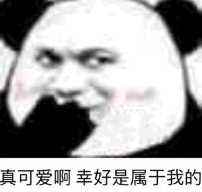 撩汉专用/沙雕可爱表情包/一杯月白/谢绝二传