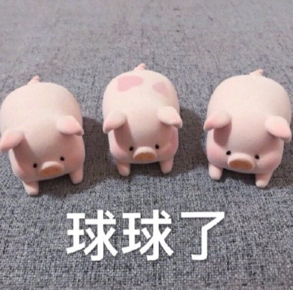 撩汉专用/沙雕可爱表情包/一杯月白/谢绝二传