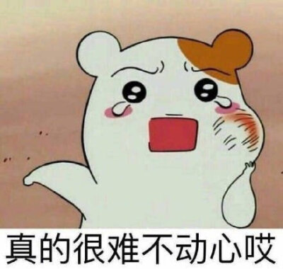 撩汉专用/沙雕可爱表情包/一杯月白/谢绝二传