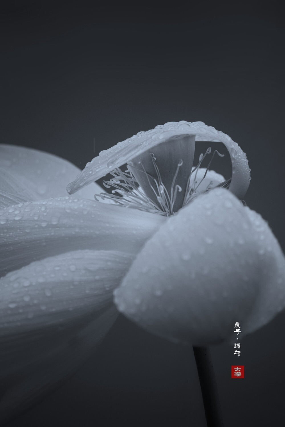 摄影2011大漠孤夜