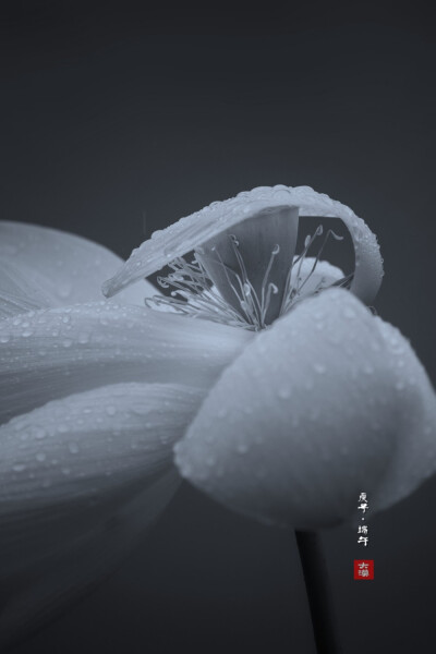 摄影2011大漠孤夜