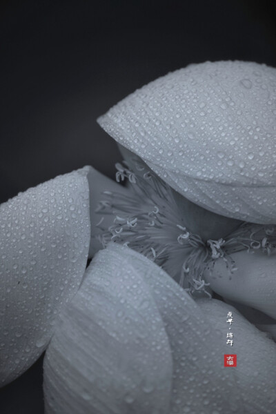 摄影2011大漠孤夜