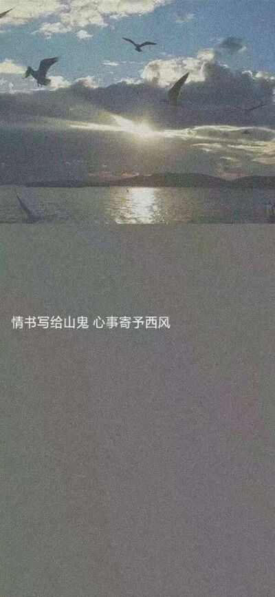 壁纸