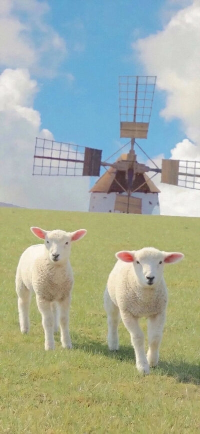 再见一次还会心动