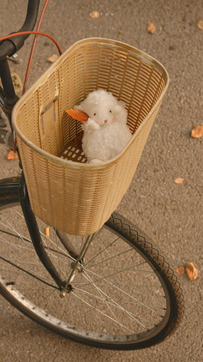 再见一次还会心动