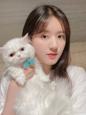 头像#赵露思#啊啊啊啊好看的