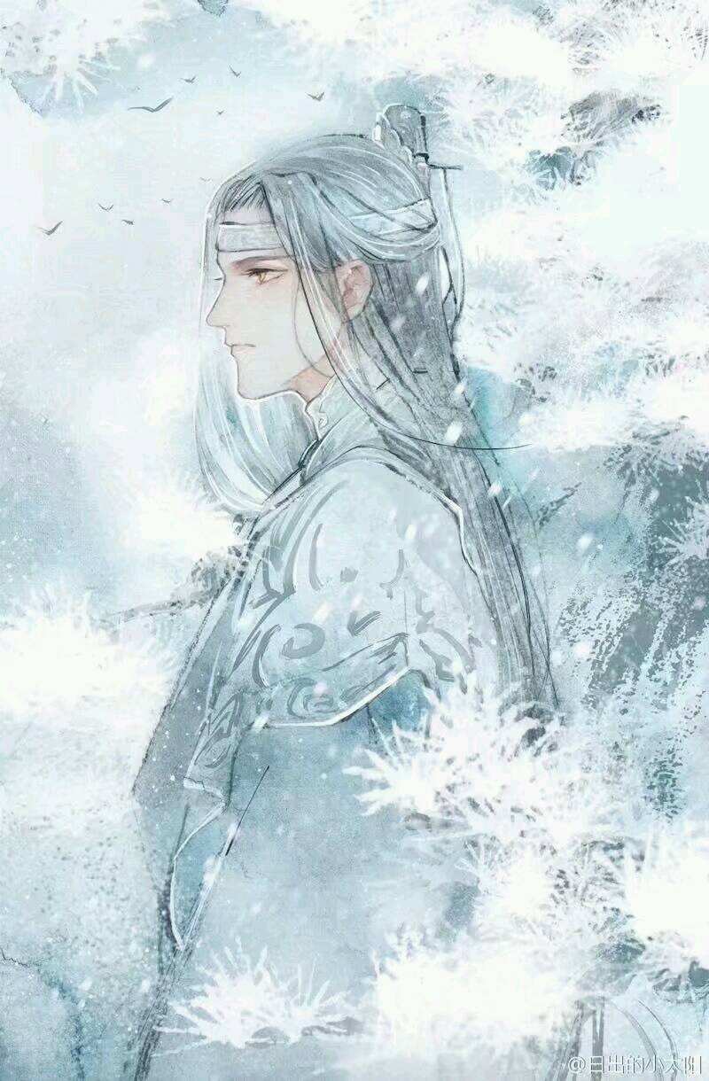 魔道祖师魏无羡蓝忘机忘羡